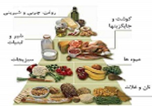سرمایه گذاران باید از تولید محصولات فرا سودمند حمایت کنند
