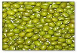 ماش یکی از مواد غذایی که در گروه حبوبات است