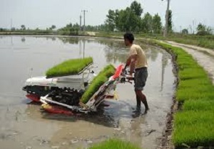 نشاکاری با دست و دستگاه مکانیزه در الموت غربی