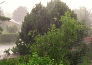 رگبار پراکنده در استان