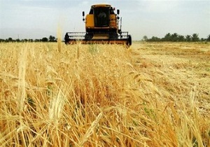 آغاز برداشت جو در اقبالیه