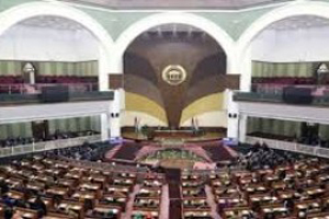 نمایندگان نگران تبدیل&zwnj;شدن گروگان&zwnj;گیری به فرهنگ هستند