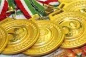 ورزشكاران زنجانی پيشتاز در افتخار آفرینی