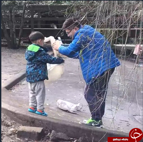 تلاش برای دزدیدن اردک از باغ دولتی +عکس