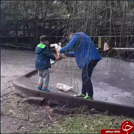 تلاش برای دزدیدن اردک از باغ دولتی +عکس
