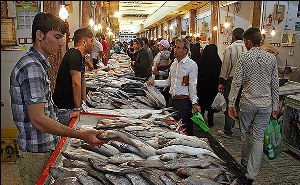 استقرار ناظر شرعی در بازار ماهی فروشان