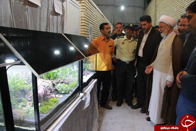آغاز اولین جشنواره مهارتی حرکت در گناباد + تصویر