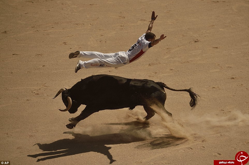 گاوچران