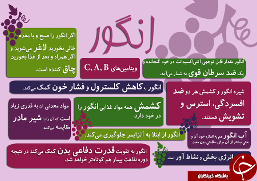 فکت گرافی خواص رنگ های مختلف انگور