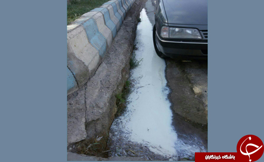تجمع دامداران سیستانی در اعتراض به خلف وعده جهاد کشاورزی+تصاویر