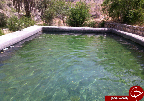 باغ های دهنه زاکین دهستان سیاهو بندرعباس + تصویر