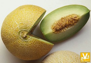 خواص درمانی خربزه