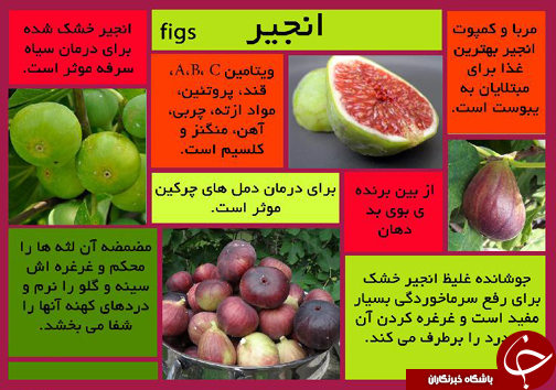 فکت گرافی میوه تابستانه انجیر