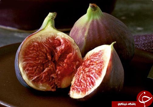 فکت گرافی میوه تابستانه انجیر