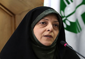بازدید رئیس سازمان حفاظت محیط زیست از فروچاله های میناب