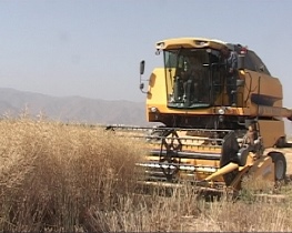 سرقت عجیب ودستگیری 2سارق در زرندیه