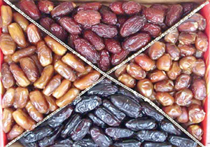 نرخ گذاری خرمای ایرانشهر