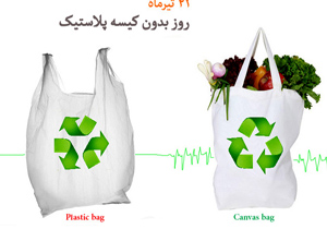 دشمنی سرسخت نایلون ها با زمین + فیلم
