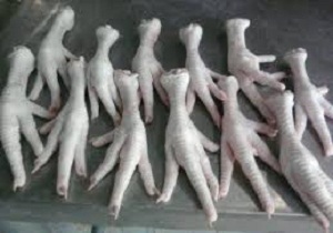 معدوم‌سازی پای مرغ غیرقابل مصرف در گرمسار