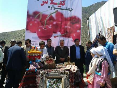 برگزاری اولین جشنواره گیلاس