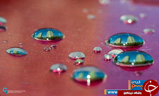 عکس/ شهـرهای معروف دنیا را در قطره آب ببینید!