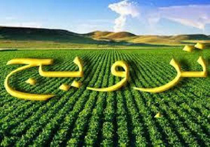 آموزش مهارتی به کشاورزان آملی  درافزایش کیفیت محصولات