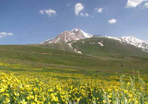 شیروان دره&zwnj;سی ، یکی از یازده زیستگاه وحش سبلان