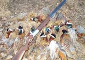 دستگیری شکارچیان غیرمجاز در پارک ملی بختگان