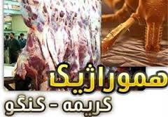 بررسی منازل مشکوک به بیماری تب کریمه کنگو در آبادان