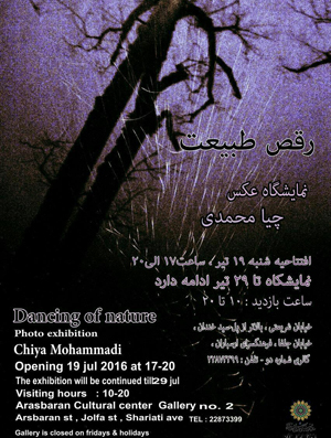 شکار لحظه&zwnj;ها در &laquo;رقص طبیعت&raquo;
