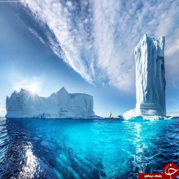 لحظه هاب ناب طبیعت در لنز دوربن توییتر+10عکس