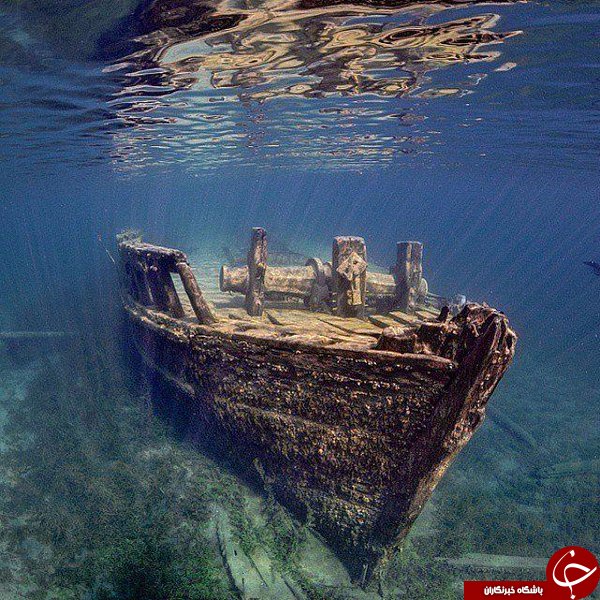 لحظه هاب ناب طبیعت در لنز دوربن توییتر+10عکس