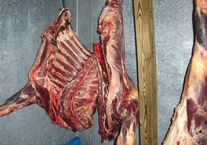 جریمه 60 میلیون ریالی و توقیف پروانه کسب واحد متخلف