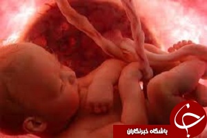 نوزادان باهوش در دامان مادران ورزشکار