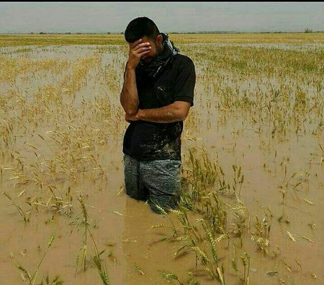 زیبایی ها و زشتی های باران در شمال+ تصاویر