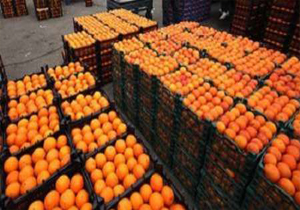 ساخت بازار میوه وتره بارشهرداری یاسوج با150میلیارد ریال
