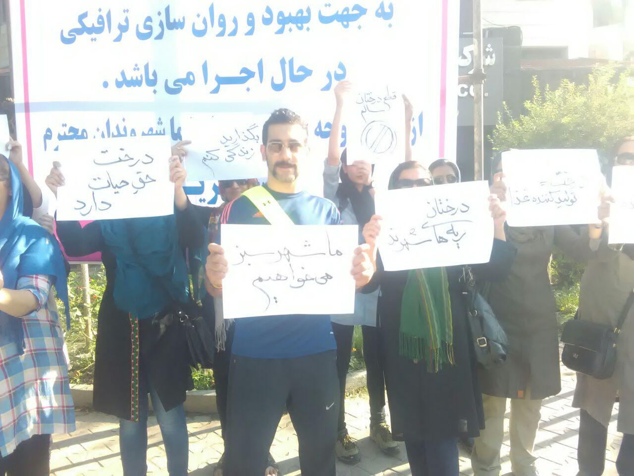 اعتراض به قطع درختان+ تصاویر