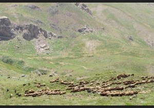 مشارکت بهره برداران مهابادی در اجرای طرح های حفاظت از مراتع