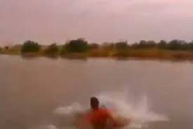 شیرجه ناکام در رودخانه