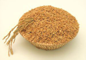 عمده واردات سبوس از کشور آذربایجان است