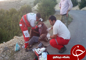 186 حادثه در یک هفته