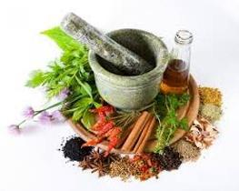 دستگیری اعضای باند قاچاق گیاهان دارویی