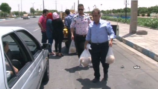 آغاز برداشت طالبی در ساوه