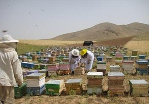 سرمایه گذاری 500 میلیون ریالی برای جوانان صحنه ای