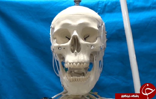 رباتی به شکل اسکلت انسان/استفاده از عضلات شبیه آدم&zwnj;ها
