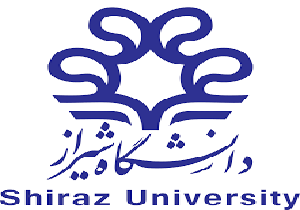 تصویب کارشناسی ارشد آموزش فلسفه به كودكان در دانشگاه شیراز