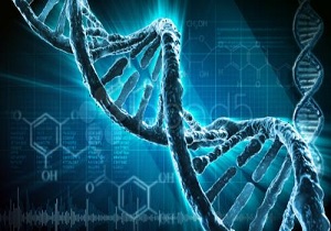 استان اردبیل میزبان کارگاه ملی مشاوره ژنتیک