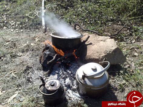 عکس هایی که بوی زندگی می دهد (قسمت سی و یکم )