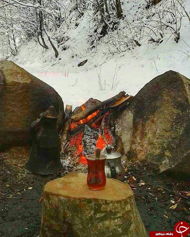 عکس هایی که بوی زندگی می دهد (قسمت سی و یکم )