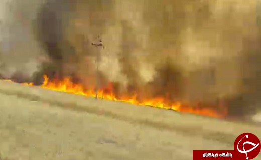 شهروندخبرنگار:لحظات هولناک آتش&zwnj;سوزی گندم&zwnj;زار/ دو نفر راهی بیمارستان شدند + فیلم